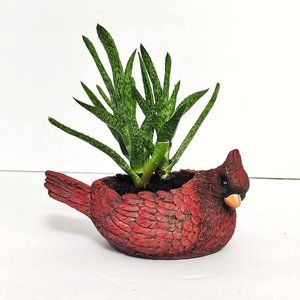 Red Cardinal Resin Planter candelholder Red Painted Resin Cardinal